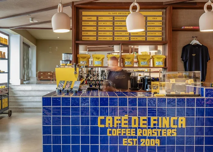 Zel Mallorca (Adults Only) Palmanova