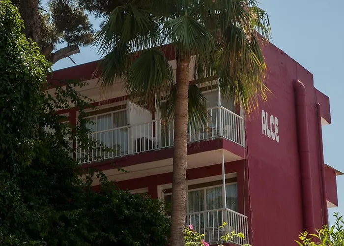 Hostal Alce Playa de Palma 